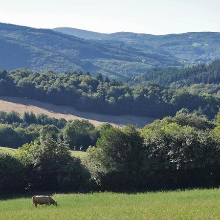 Ahoma, Sejour Bien-Etre, Calme Et Serenite. Labruguière Exterior foto