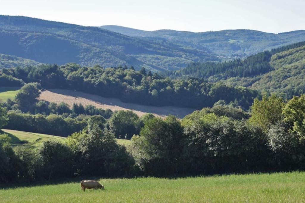 Ahoma, Sejour Bien-Etre, Calme Et Serenite. Labruguière Exterior foto